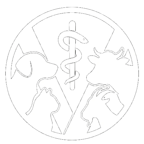 Logo branca de fundo transparente do médico-veterinário Luigi Pimenta